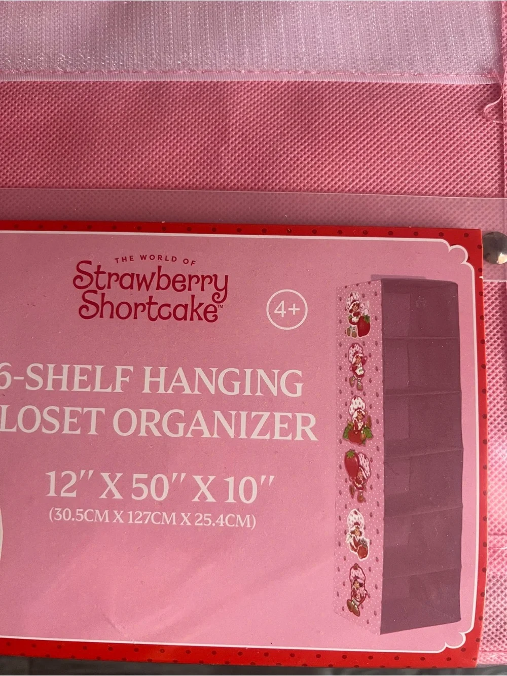 Strawberry Shortcake 6-Shelf Hanging Closet Organizer